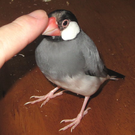 Untitled1.jpg