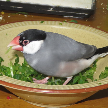 Untitled1.jpg