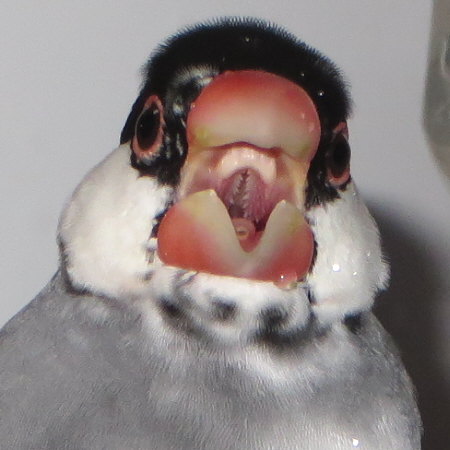 Untitled4.jpg