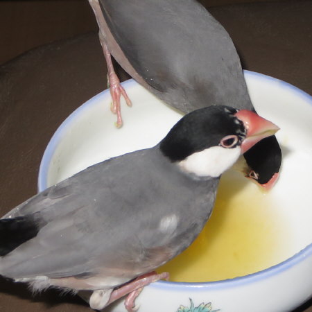 Untitled2.jpg