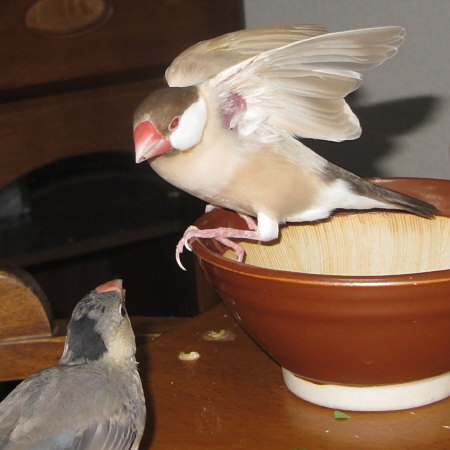 Untitled1.jpg