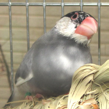 Untitled2.jpg