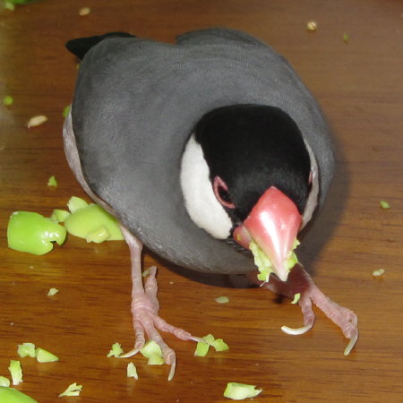 Untitled1.jpg