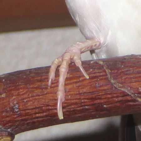 Untitled2.jpg
