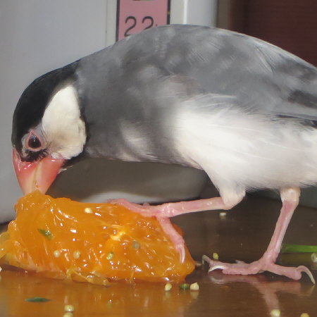Untitled1.jpg