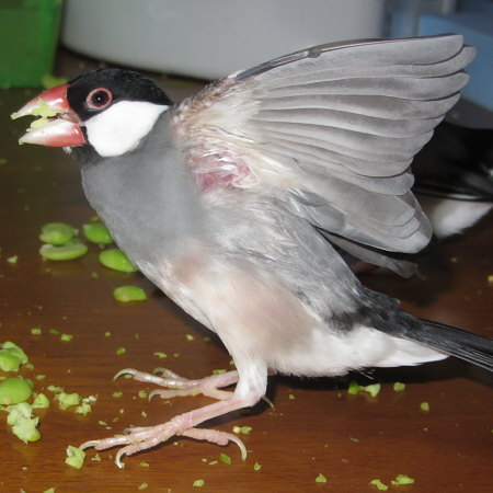 Untitled1.jpg