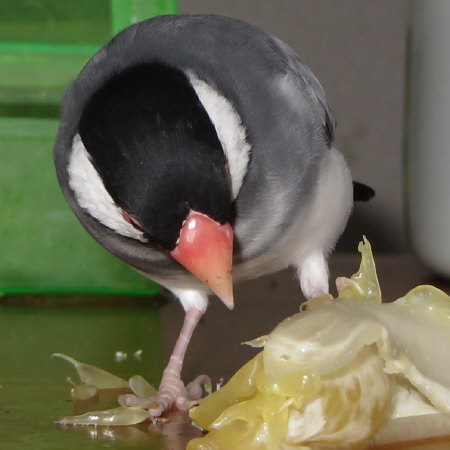 Untitled1.jpg