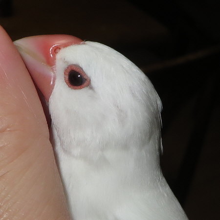 Untitled1.jpg