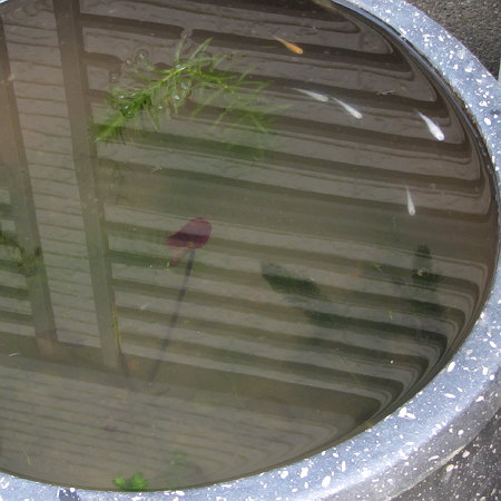 Untitled6.jpg