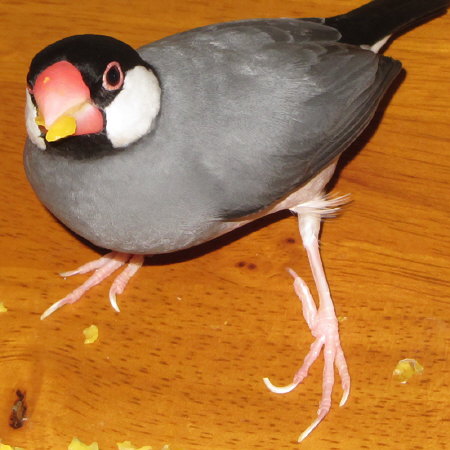 Untitled1.jpg