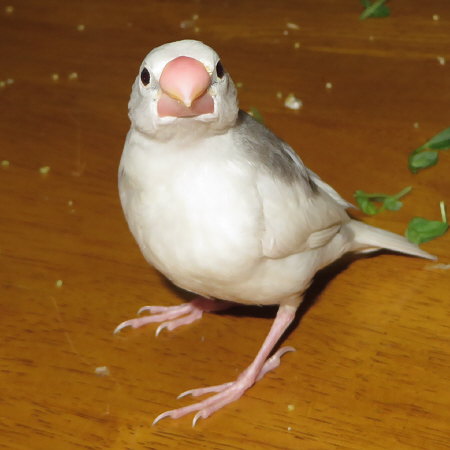 Untitled2.jpg