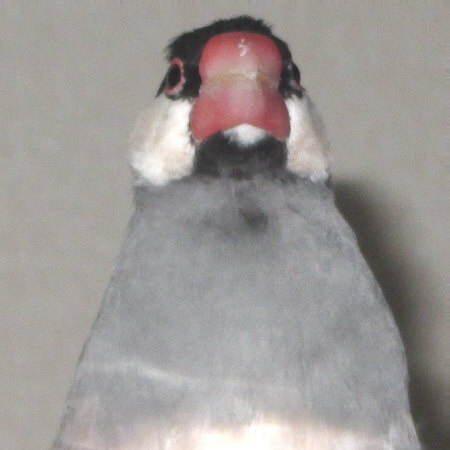 Untitled2.jpg