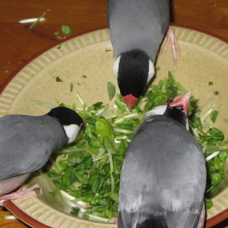 Untitled1.jpg