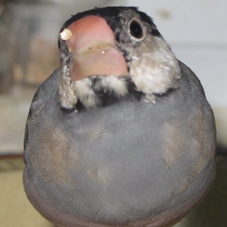 Untitled2.jpg