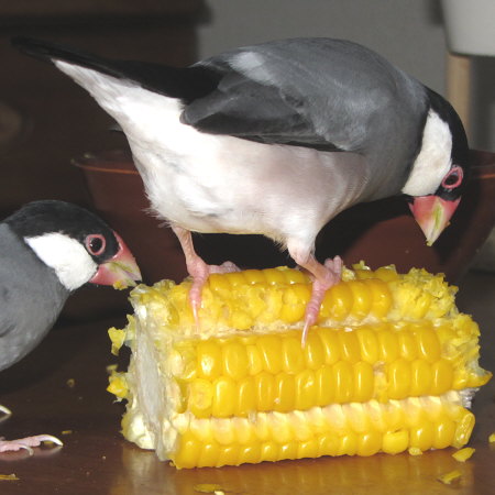 Untitled1.jpg