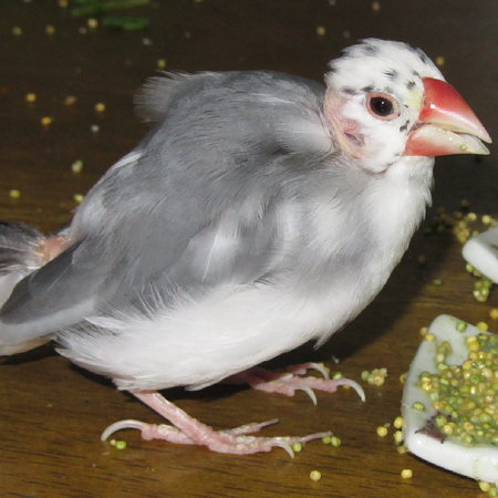 201301.jpg