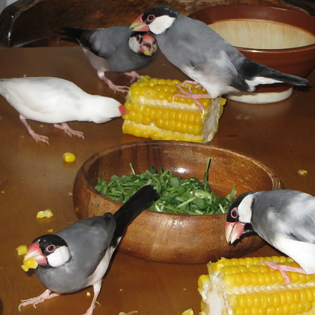 Untitled2.jpg