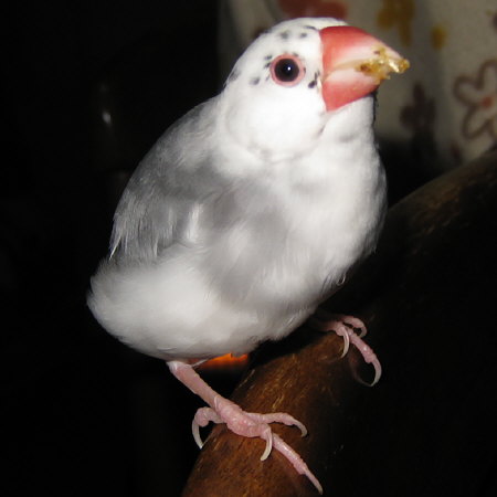 201101.jpg