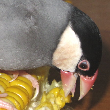 Untitled1.jpg