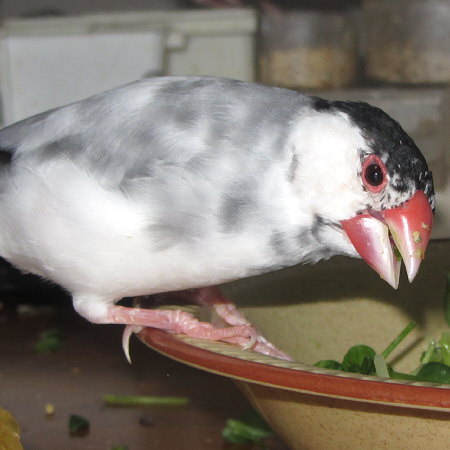Untitled1.jpg