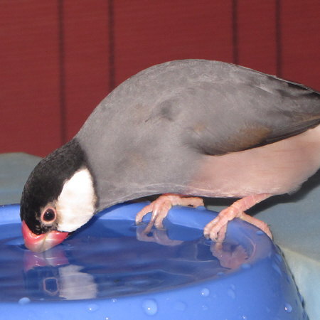 Untitled1.jpg