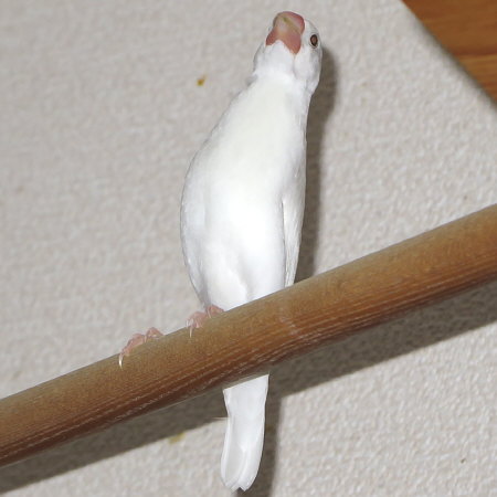 Untitled1.jpg