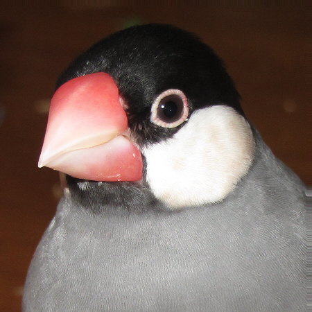 Untitled1.jpg