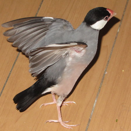 Untitled1.jpg