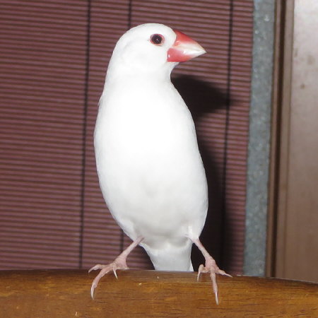 Untitled2.jpg