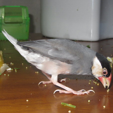 Untitled1.jpg