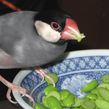 Untitled1.jpg