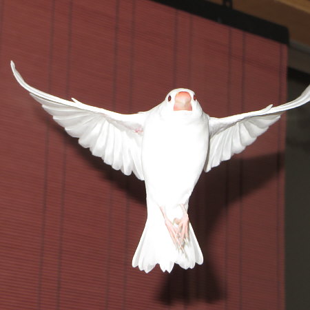 Untitled1.jpg