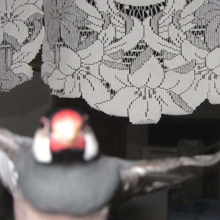 Untitled2.jpg