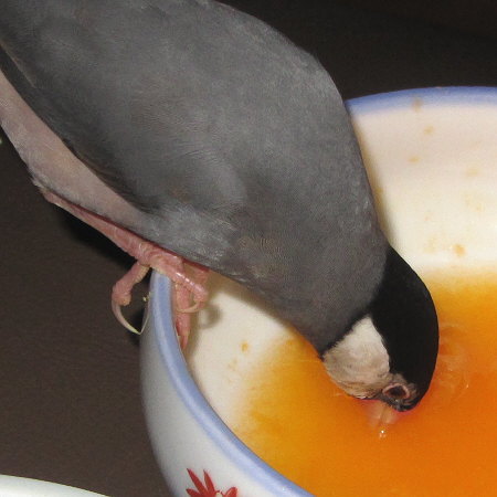 Untitled1.jpg
