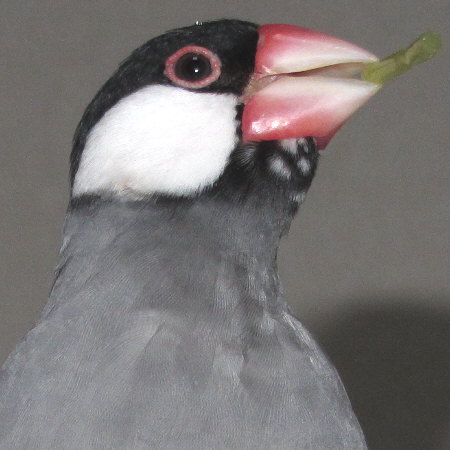 Untitled2.jpg