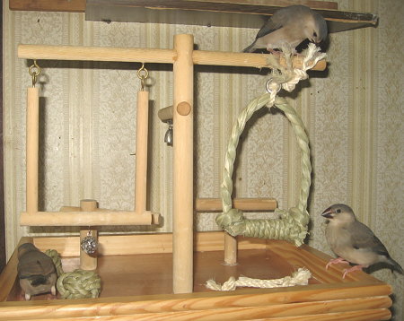 Untitled1.jpg