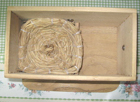 箱巣に皿巣