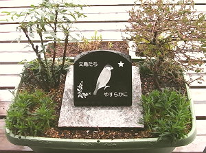 文鳥のお墓