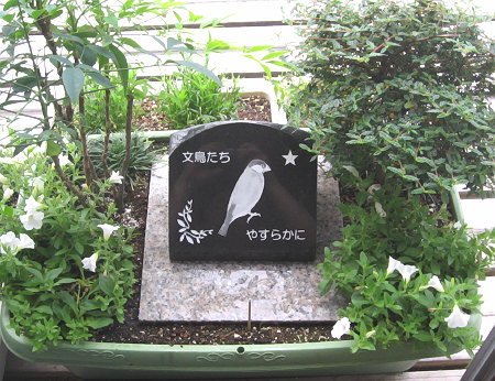 文鳥墓苑の朝