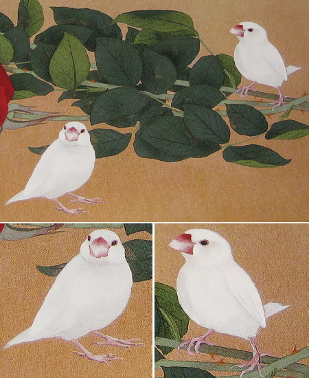 牧進の白文鳥(『愛嬌』より)