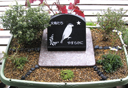 文鳥墓苑2010/11