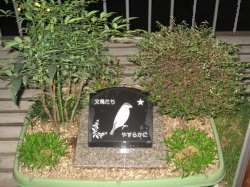 20081122_009.JPG
