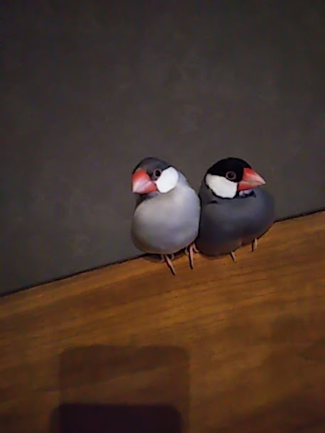 たまたま相性が良かった