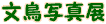 �摜�f������]�ڂ����Ē������ʐ^�ł��B
