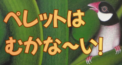 �y���b�g�͂ނ��ȁ`��
